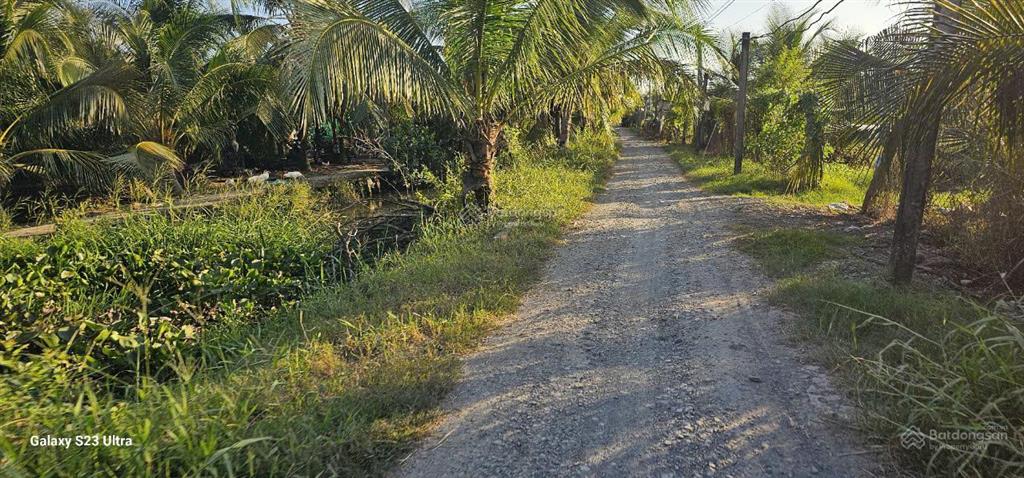Bán gấp lô đất thổ cư giáp tân an, đang trồng dừa 3 năm thu hoạch, sổ đỏ sẵn