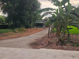 Bán gấp lô đất thổ cư nền cao, khu dân cư đông đúc, điện nước ngang đất, giá chỉ nhỉnh 1 tỷ