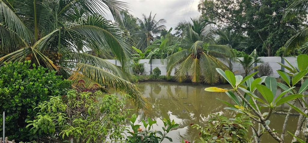 Bán gấp nhà, hàng rào kiên cố, full nội thất, chủ định cư, giá chỉ nhỉnh 3 tỷ