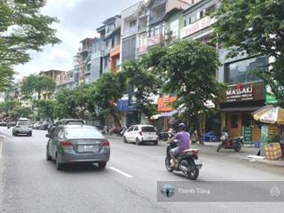 Nhà 5t vị trí vàng tại mp đào tấn vỉa hè rộng kinh doanh đỉnh đường rộng 42m dt 55m mt 4,2m