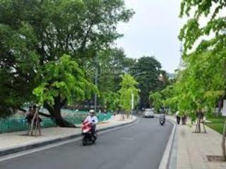 Biệt thự căn góc 4,5t đẹp ngõ ô đồng lâmhồ ba mẫu cách ô tô 30m vài bước ra mặt hồ, ngõ xe ba gác