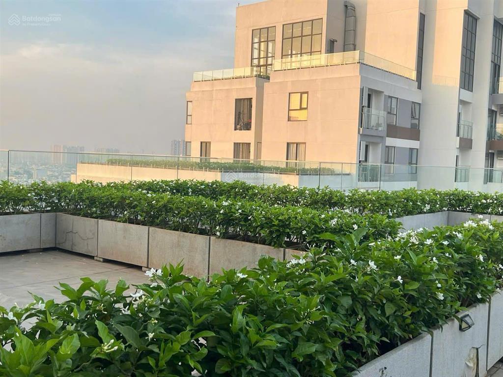 Chính chủ, d'lusso  căn 50m2  4,8 tỷ 68m2  5.9 tỷ 96m2  7.6 tỷ, penthouse, double plex