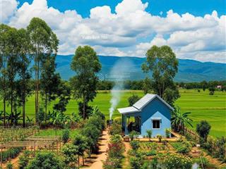 Vùng ngoại ô nha trang  khánh phú  khánh vĩnh  gần khu du lịch thác yangbay  khánh hoà