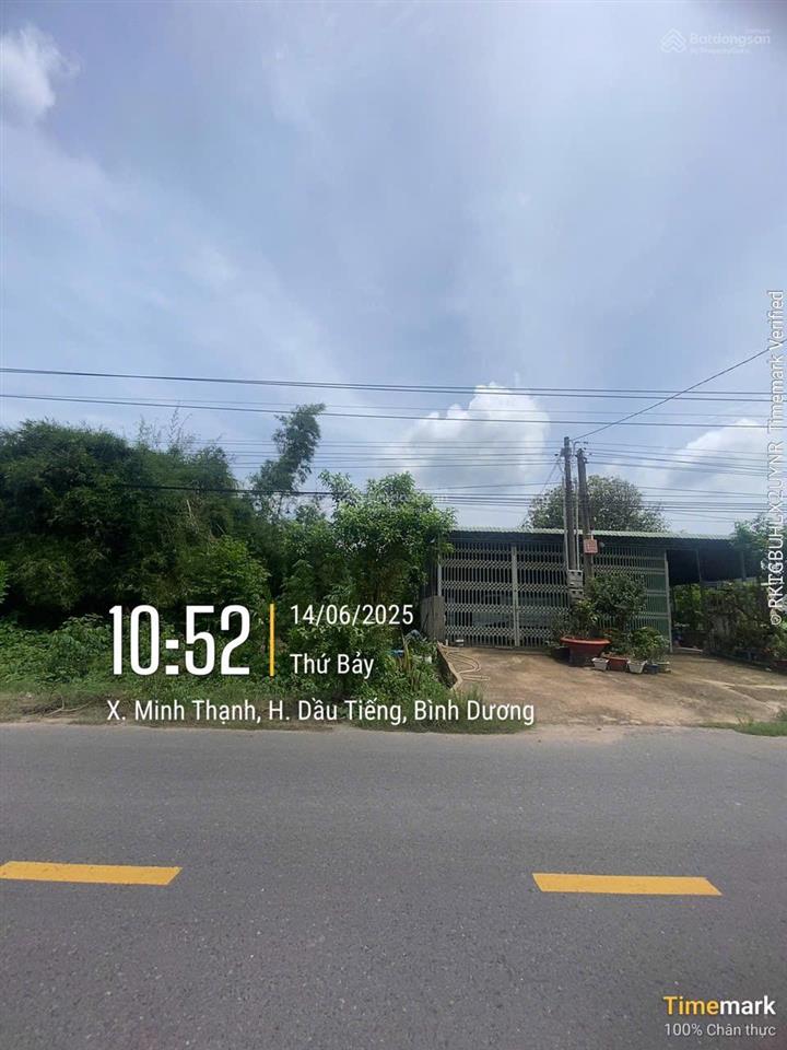 Bán đất 877m2 tại dh707, minh thạnh, dầu tiếng, bình dương, giá 1,65 tỷ