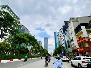 Hiếm! tòa nhà mặt phố liễu giai, ba đình, dt 400m, mt 14m, kinh doanh đỉnh