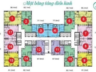 Quỹ căn cuối cùng của chung cư eurowindown đông trù đông anh,pháp lí chuẩn