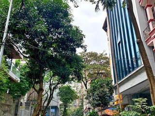Cực đẹp! phân lô hoàng cầu, ôtô tránh, nhà đẹp, kinh doanh đỉnh, dt 72m2 x 5t, mt đẹp. giá 25 tỷ