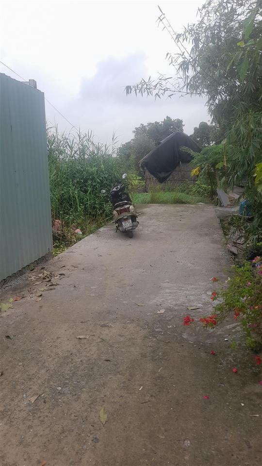 Bán đấy bình mỹ, củ chi, tp hồ chí minh