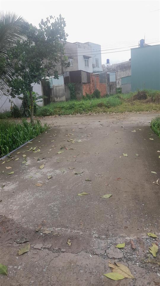 Bán đấy bình mỹ, củ chi, tp hồ chí minh