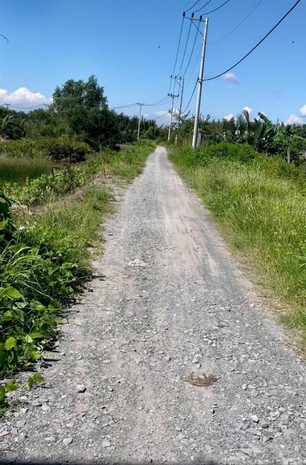 Bán đất mặt đường xe hơi xã an thới đông, mt đường ôtô 5 met thích hợp làm nhà vườn nghỉ dưỡng