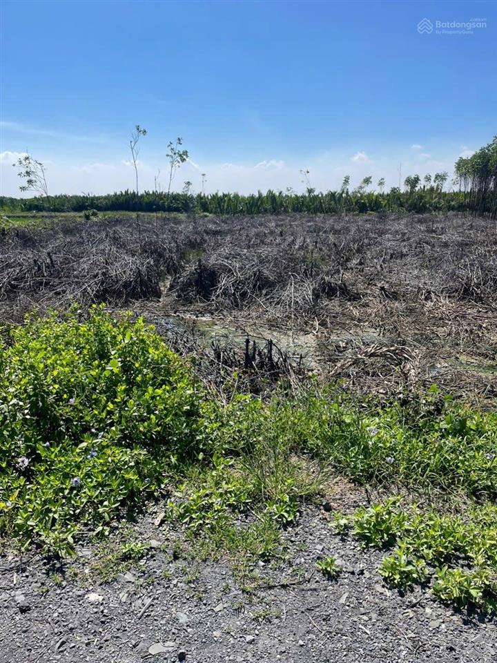 Bán đất mặt đường xe hơi xã an thới đông, mt đường ôtô 5 met thích hợp làm nhà vườn nghỉ dưỡng