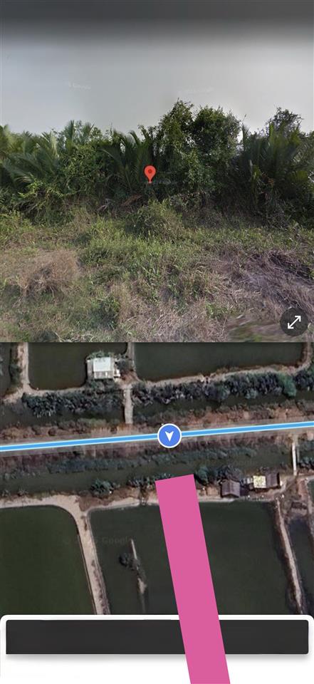 Nhanh tay sở hữu lô đất giá tốt ở xã lý nhơn, huyện cần giờ, hồ chí minh, với diện tích rộng rãi