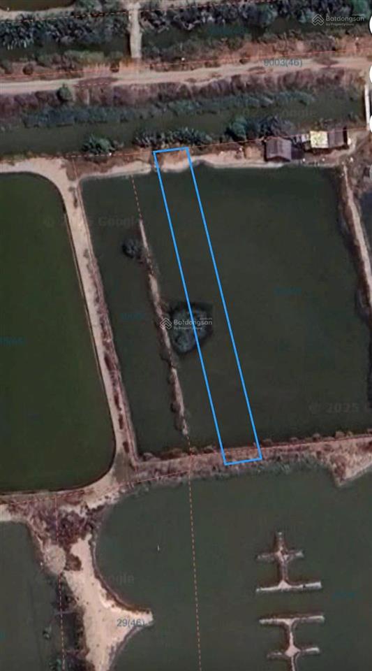 Nhanh tay sở hữu lô đất giá tốt ở xã lý nhơn, huyện cần giờ, hồ chí minh, với diện tích rộng rãi