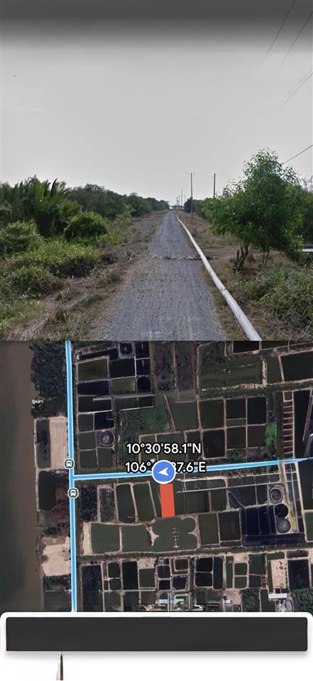 Nhanh tay sở hữu lô đất giá tốt ở xã lý nhơn, huyện cần giờ, hồ chí minh, với diện tích rộng rãi