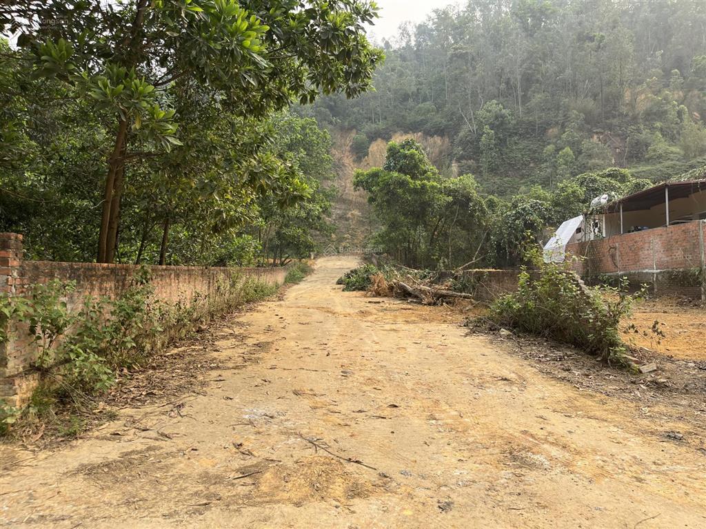 Chủ gửi bán lô đất 560m2 sẵn nhà xây kiên cố mặt đường thôn đồng chằm, xã đông xuân quốc oai hà nội