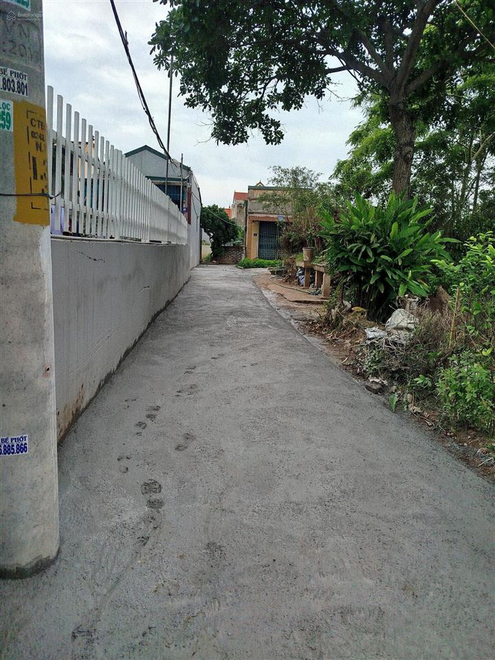 Đất rẻ nhất khu vực vân táo, h. thường tín, hà nội giá tốt rẻ nhất thị trường