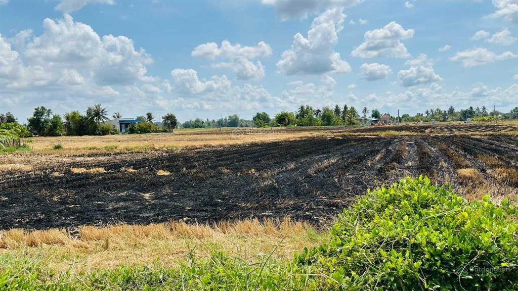 Chủ giảm thêm 1 tỷ bán nhanh lô đất lúa mặt tiền đường đt 830b ngang 58m