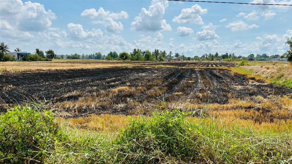 Chủ giảm thêm 1 tỷ bán nhanh lô đất lúa mặt tiền đường đt 830b ngang 58m