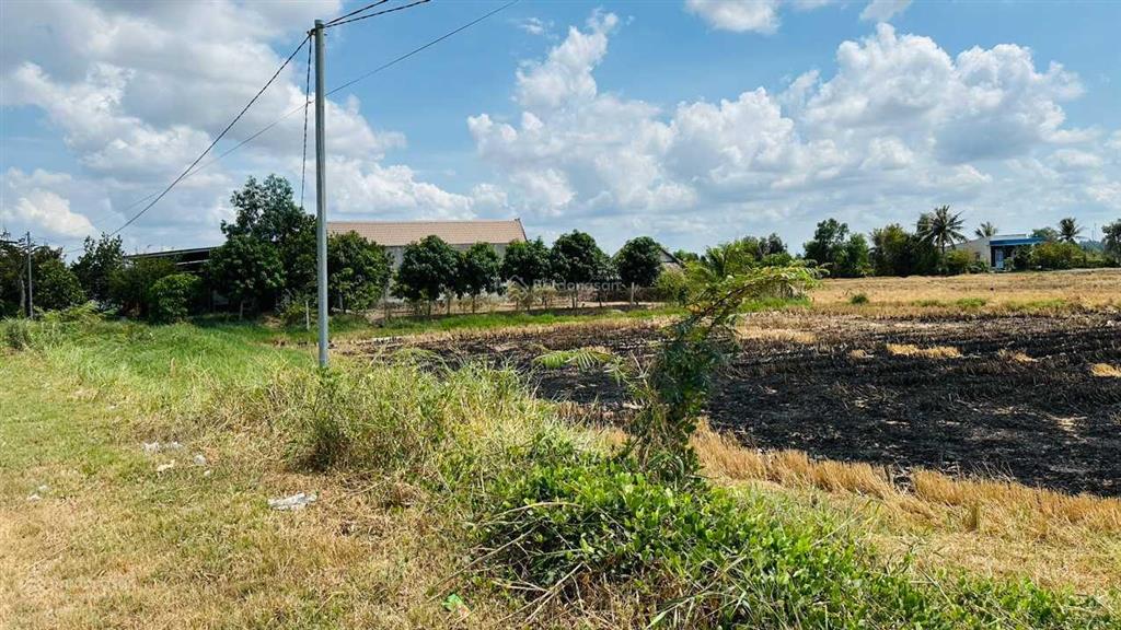 Chủ giảm thêm 1 tỷ bán nhanh lô đất lúa mặt tiền đường đt 830b ngang 58m