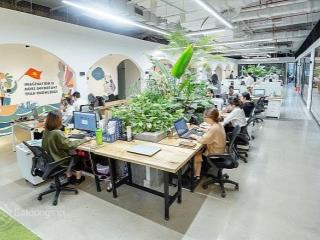 Chính chủ cho thuê văn phòng ngay mặt phố hoàng đạo thúy  hoàng ngân  dt 200m2