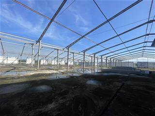 Cho thuê xưởng phước an tuy phước bình định 3800m2