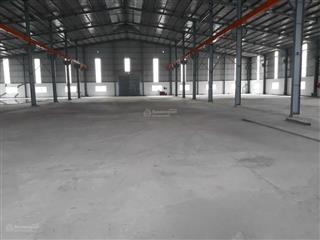 Cho thuê xưởng phước an tuy phước bình định có pccc tự động 9200m2