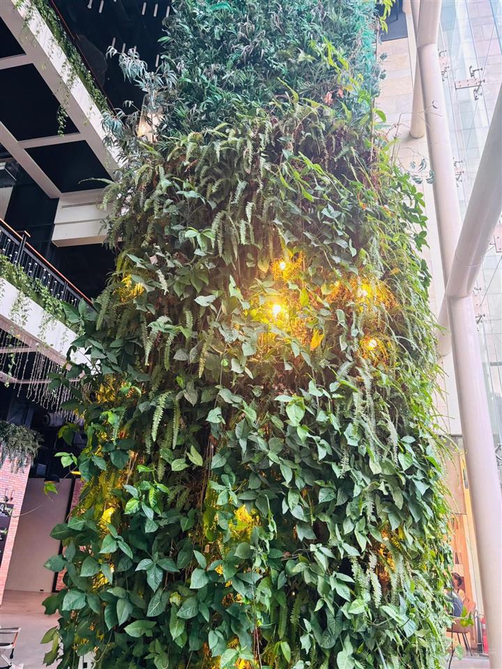 Hot hiếm! bán căn hộ sân vườn 2pn the vista an phú quận 2 có sổ giá rẻ 12 tỷ tl view chill thoáng