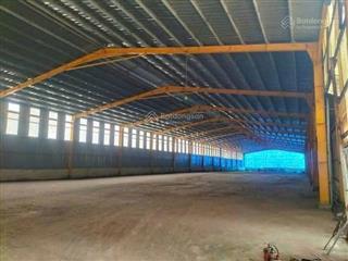 Cho thuê xưởng khuôn viên đất 12.500m2.giấy tờ đầy đủ ,tiếp đa ngành nghề,phước hòa ,phú giáo,bd