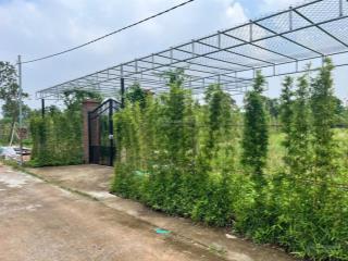 Bán đất 1.200m2 xã đông mỹ thanh trì, đường 10m ô tô container vào tận nơi