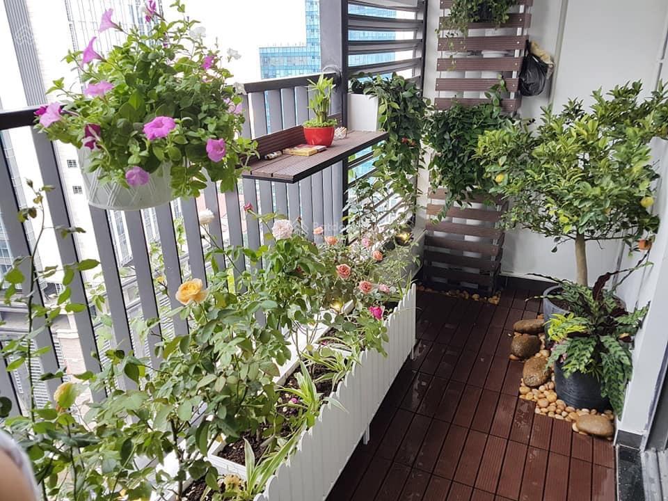 Chính chủ cần bán gấp căn 2pn  2vs  74m2, tòa booyoung. có slot oto. giá chỉ 5.6 tỷ