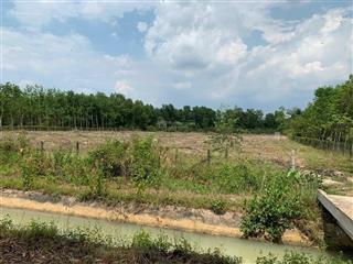 Chính chủ cần bán đất gần ubnd xã nhuận đức dt 8812m2 có 300m2 thổ cư