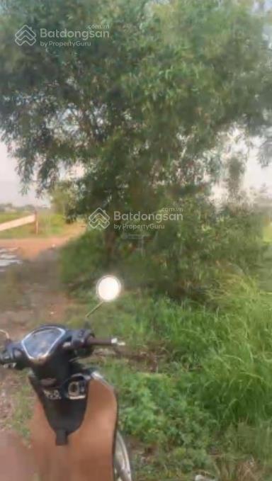 Bán nhanh đất xã tân thạnh tây, diện tích 4.205 m2, giá 9 tỷ đồng (giảm 1 tỷ đồng)