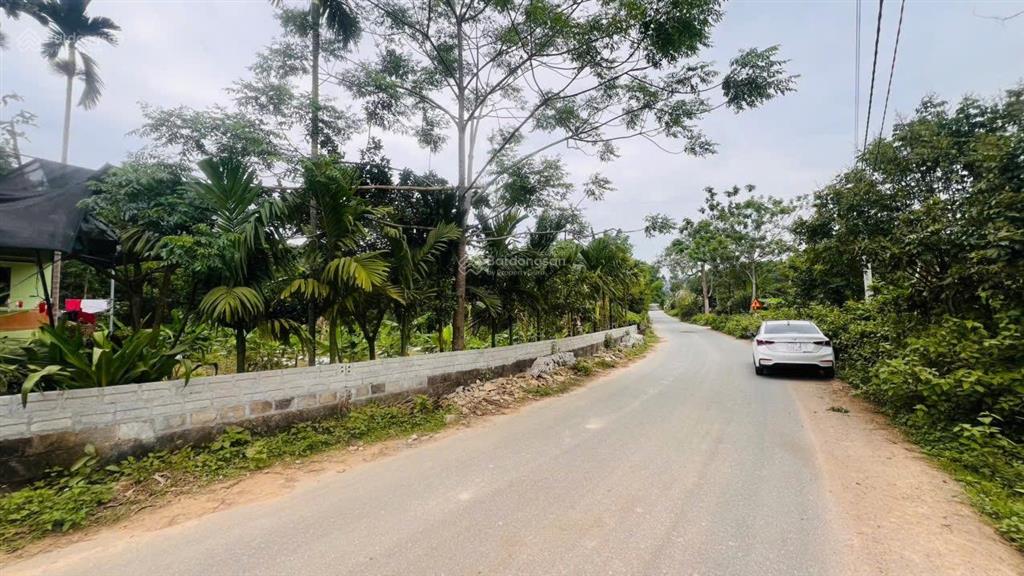 Chuyển nhượng 3900m2 đất đẹp bằng phẳng, mặt tiền bám đường nhựa tại lạc thuỷ, hoà bình