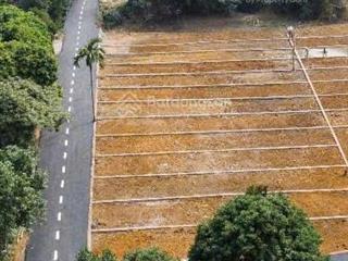 Bán đất đẹp 3 mặt giao thương, cáp treo chùa tiên giá chỉ từ 150 triệu/lô tại an bình, lạc thủy!