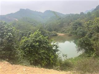 Bán 10ha đất trồng cây pháp lý đầy đủ tại đú sáng, kim bôi, hoà bình