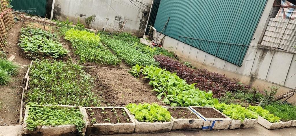 Bán gấp 77m2 đất tại cổ nhuế, bắc từ liêmmặt ngõ, mặt tiền 5,5m, giá chỉ 12 tỷ thương lượng