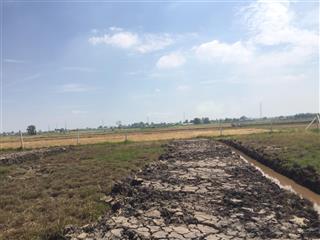 Đất rộng 10x50=500m2, phước thạnh, đường 8m, sổ hồng riêng, giá 520 triệu ( giá 100% )
