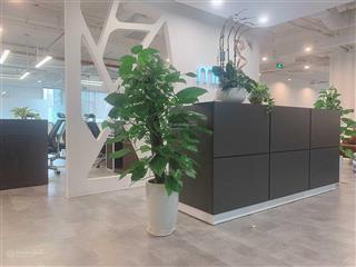 Cho thuê văn phòng phố dương đình nghệ, cầu giấy 70m2,140m2, 360m2, 450m2,800m2 giá 180 nghìn/m2/th
