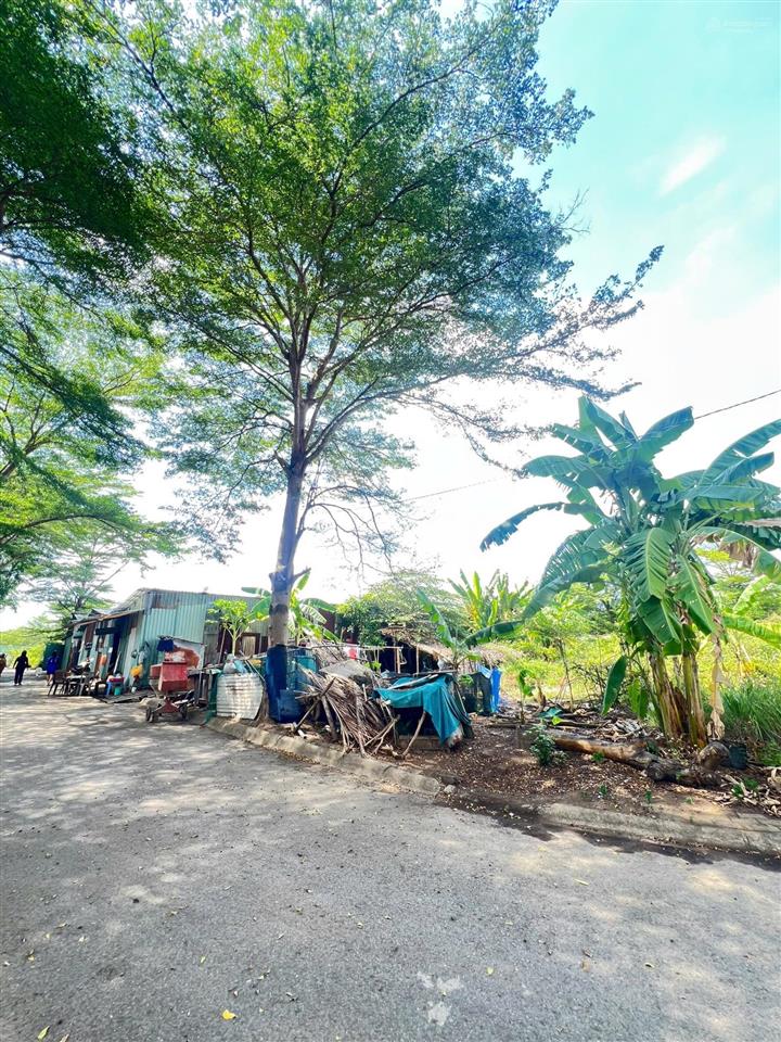 Hàng ngộp nền biệt thự đơn lập đẹp nhất khu vực. 450m2  chỉ 38,8 triệu/m2