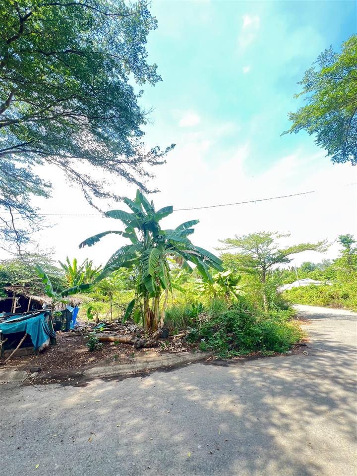 Hàng ngộp nền biệt thự đơn lập đẹp nhất khu vực. 450m2  chỉ 38,8 triệu/m2