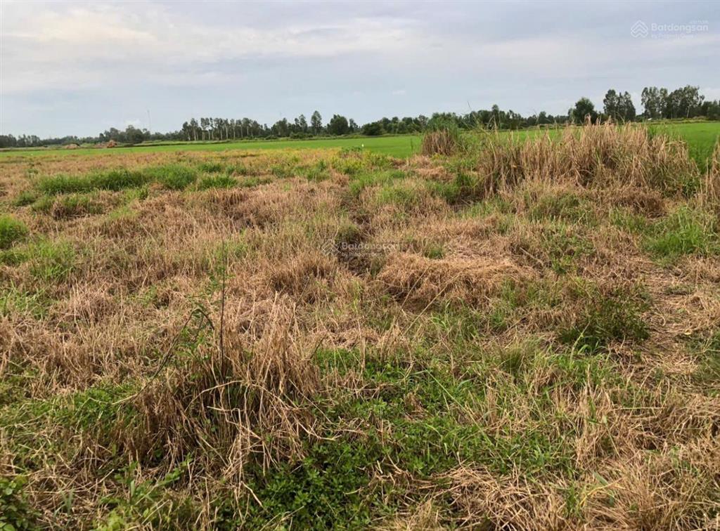 Cần bán 141.9m2 đất kp minh thành, tt minh lương, châu thành, kiên giang