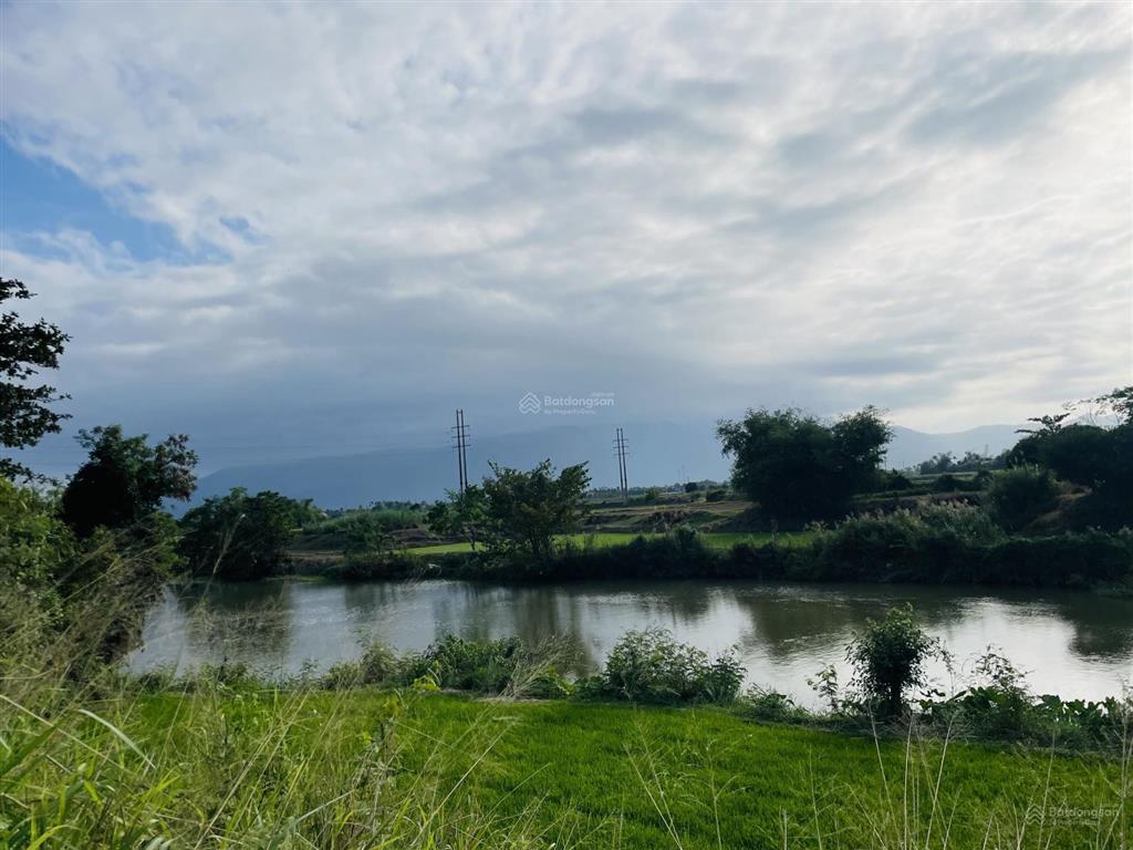 2508,1m2 đất cây lâu năm view sông ninh phụng phù hợp làm nông nghiệp  679 triệu