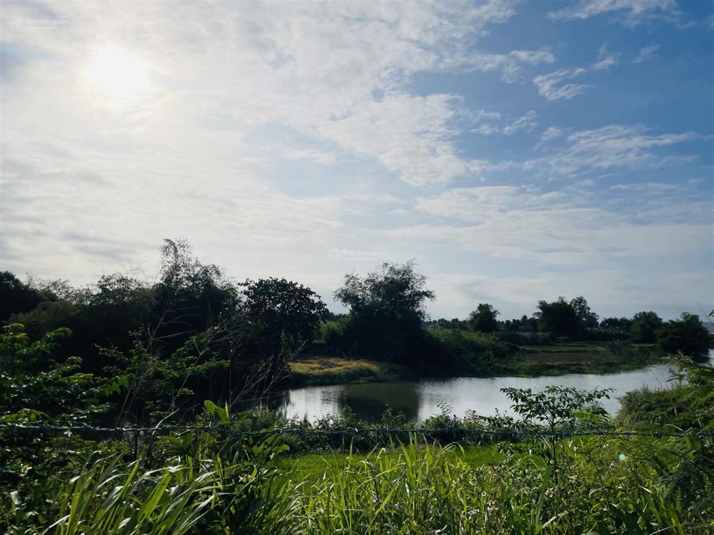 2508,1m2 đất cây lâu năm view sông ninh phụng phù hợp làm nông nghiệp  679 triệu