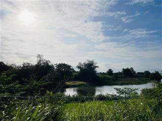 2508,1m2 đất cây lâu năm view sông ninh phụng phù hợp làm nông nghiệp  679 triệu