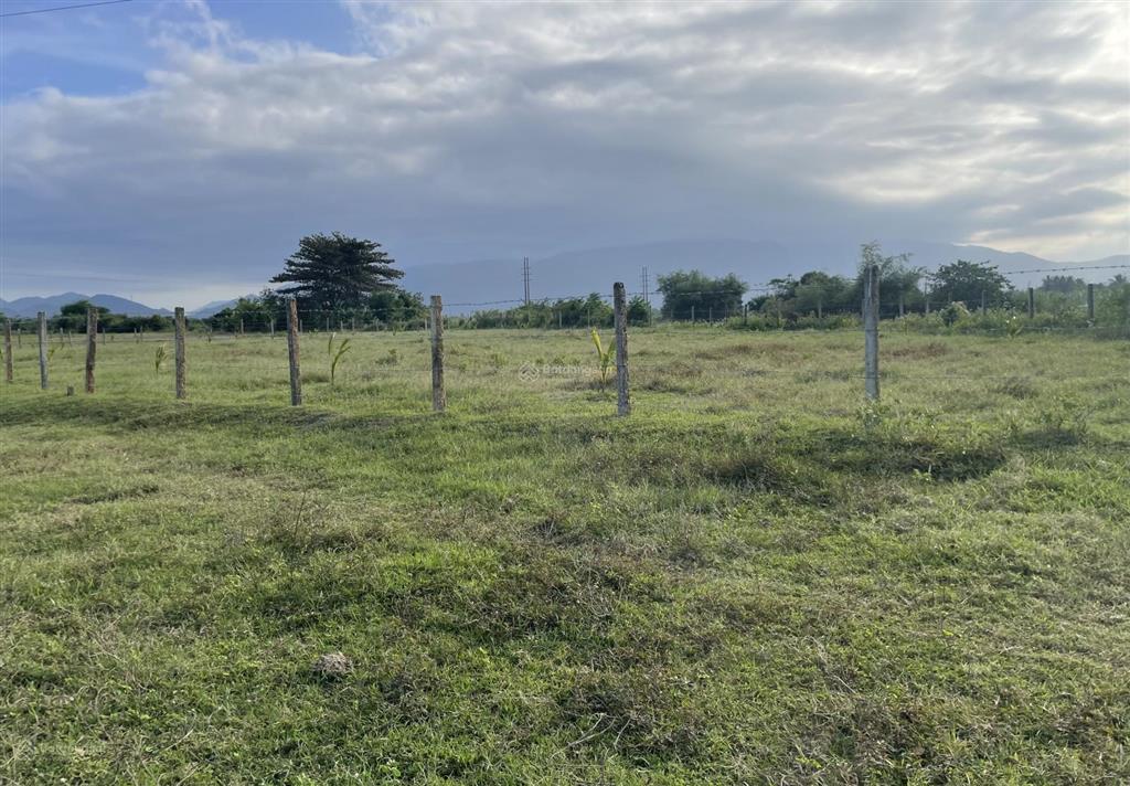 2508,1m2 đất cây lâu năm view sông ninh phụng phù hợp làm nông nghiệp  679 triệu