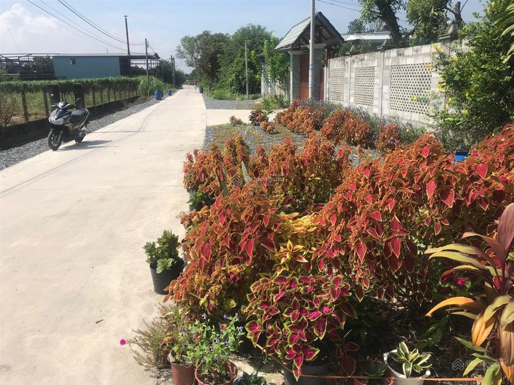 Bán đất mt tl373 gần đường xuyên á và kcn tây bắc