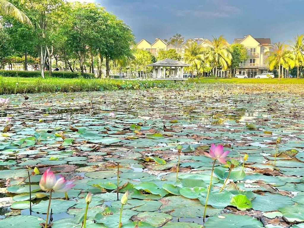 Bán nhanh căn nhà phố park riverside 1 trệt 2 lầu đã có sổ giá 9,5 tỷ hỗ trợ vay bank giá tốt nhất