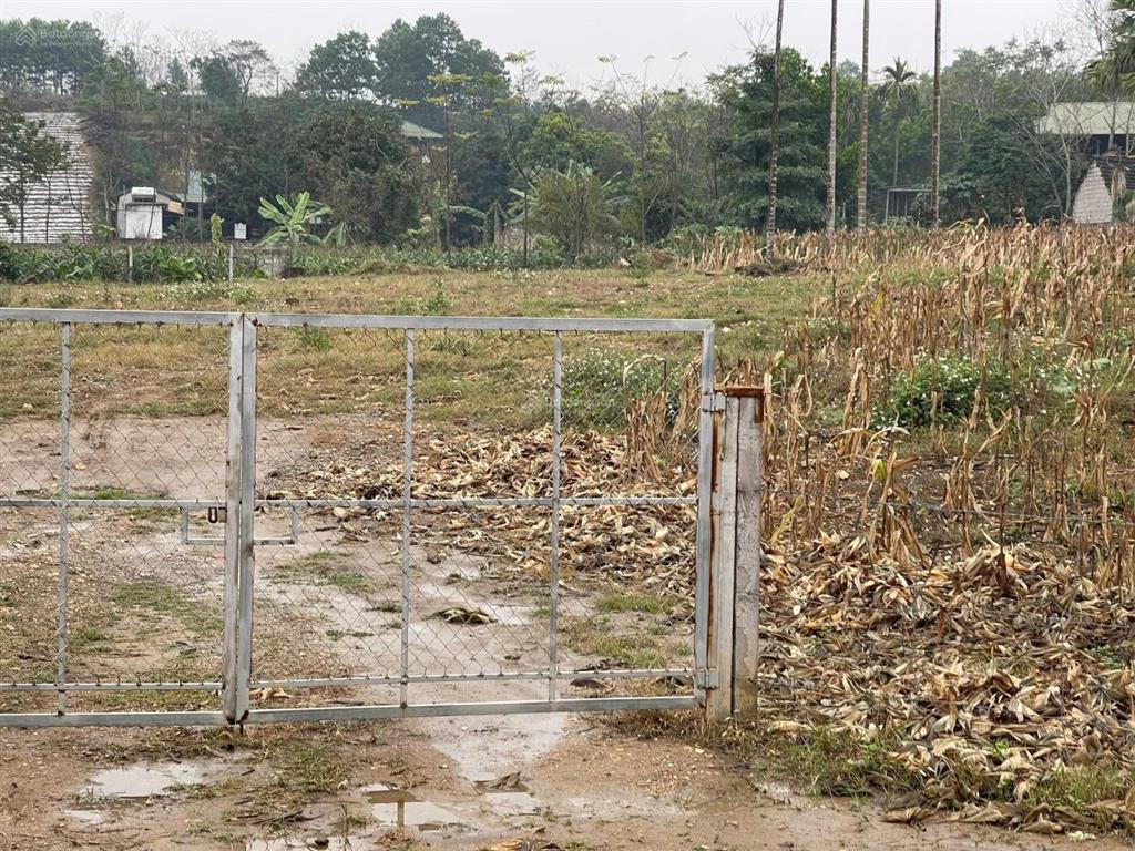 Chính chủ cần tiền bán gấp thửa đất 2394m2 full bìa có thổ cư ở thôn 9 xã ba trại, giá chỉ 4,xtr/m2