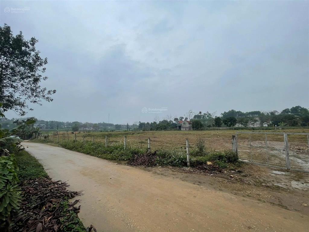 Chính chủ cần tiền bán gấp thửa đất 2394m2 full bìa có thổ cư ở thôn 9 xã ba trại, giá chỉ 4,xtr/m2