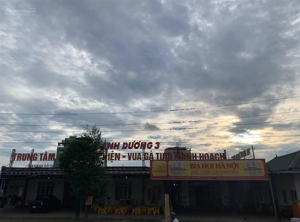 Chuyển đổi mục đích kinh doanh. bán bđs nhà hàng tại kđt yên bình, 26 tỷ 1560m2 làm việc trực tiếp